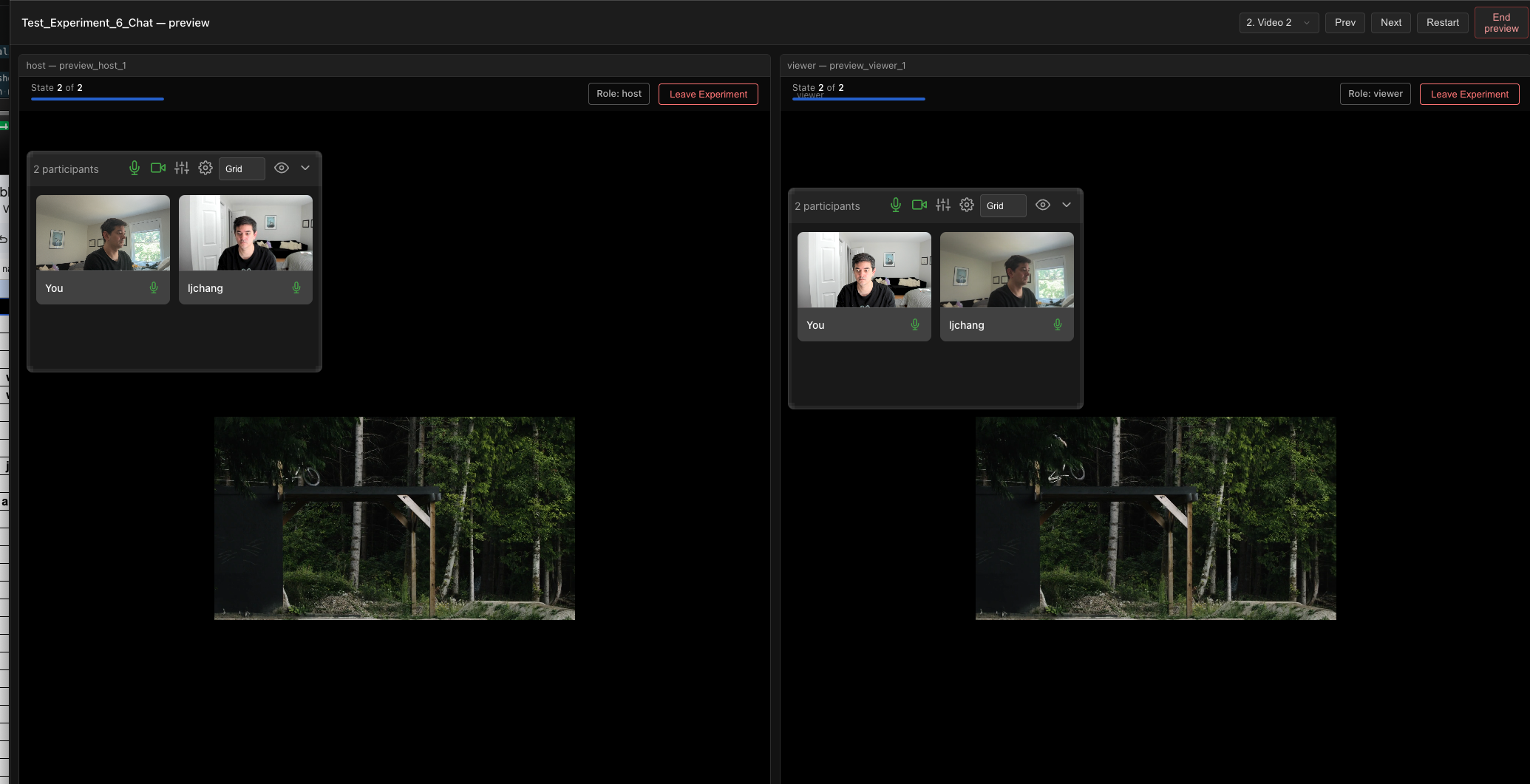 Multi-pane preview showing a host and viewer running the same experiment side by side, with video chat, a synchronized stimulus video, and text chat